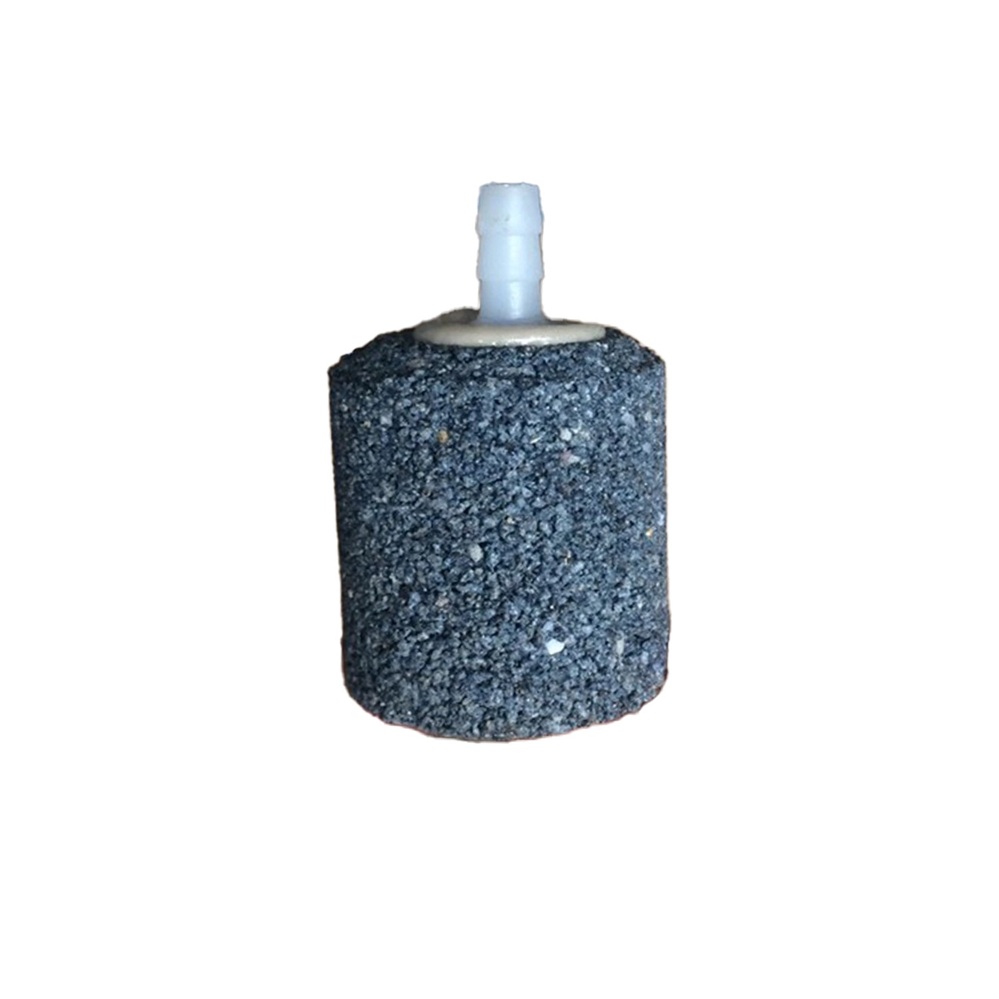 Sủi Oxi Xám trụ