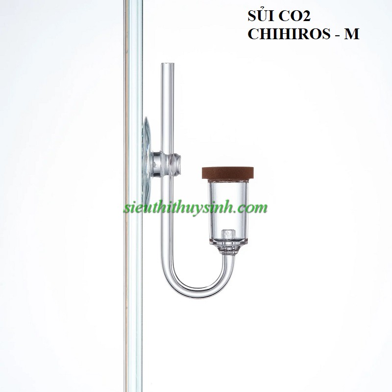 Sủi Chihiros Nano - M