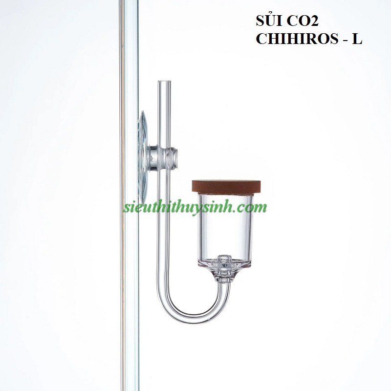 Sủi Chihiros Nano - L