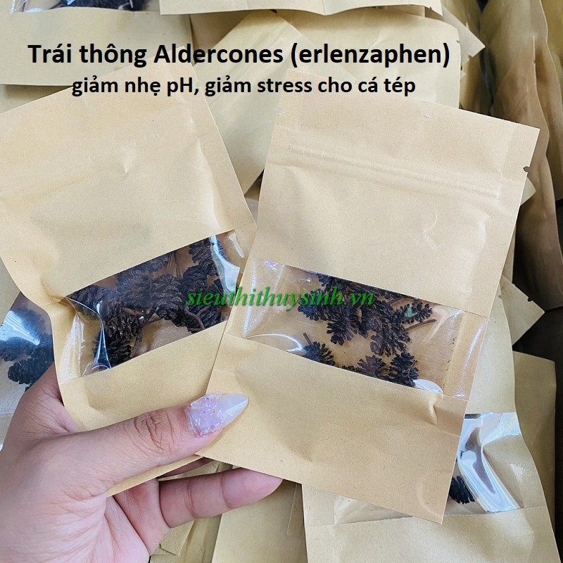 Trái thông Erlenzaphen (Alder Cones) phần 10 trái