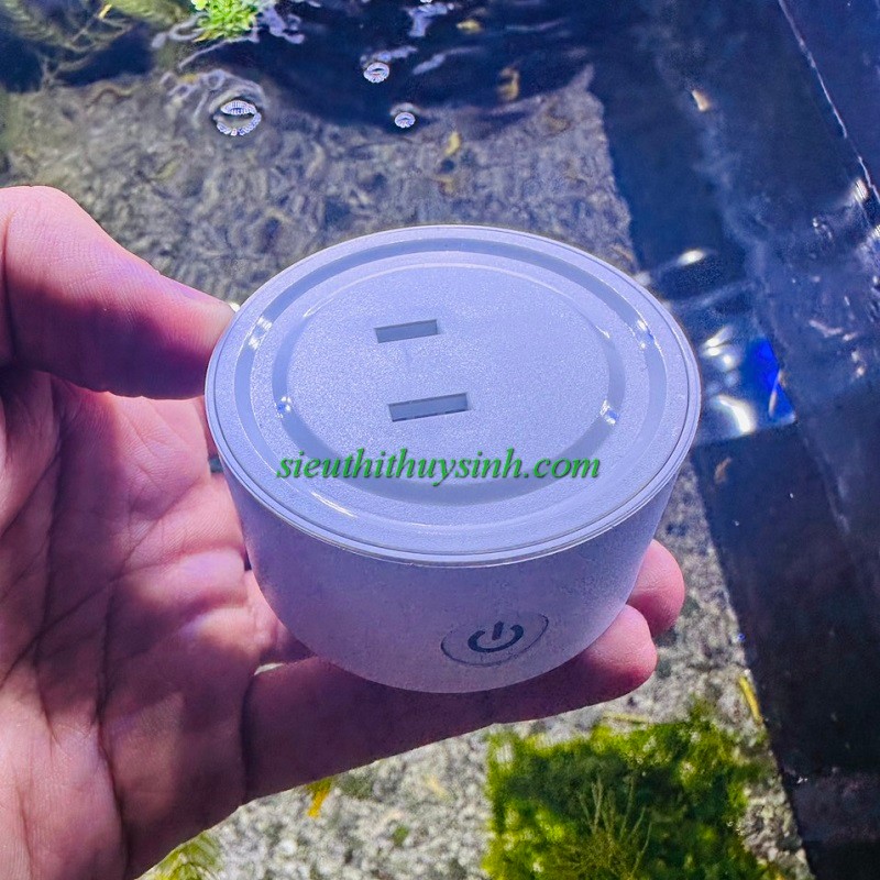 Hẹn giờ (timer) wifi loại tốt 2 chấu